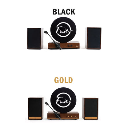 Vertical Vinyl Record Player