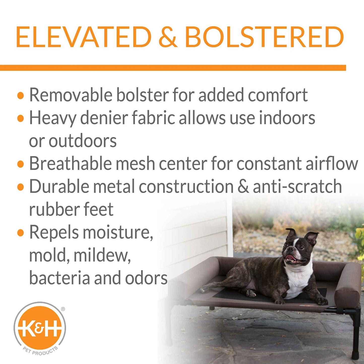 Elevated Pet Bed