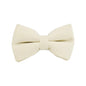 Milky White Velvet Dog Harness Set
