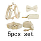 Milky White Velvet Dog Harness Set