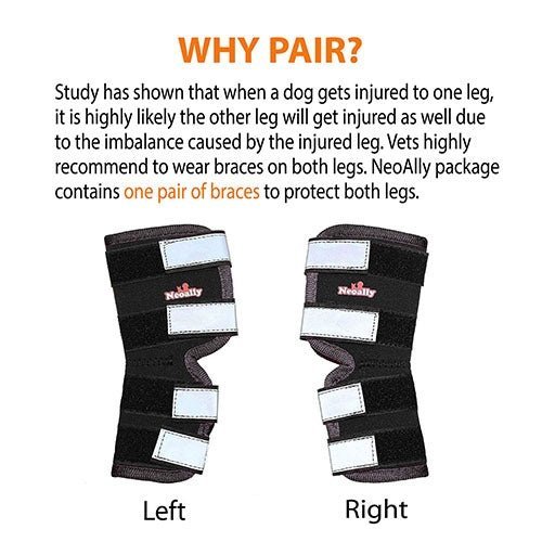 Rear Leg Brace with Safety Reflective Straps for Large Dogs