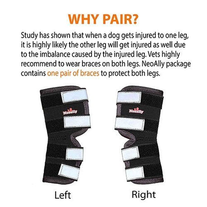 Rear Leg Brace with Safety Reflective Straps for Large Dogs
