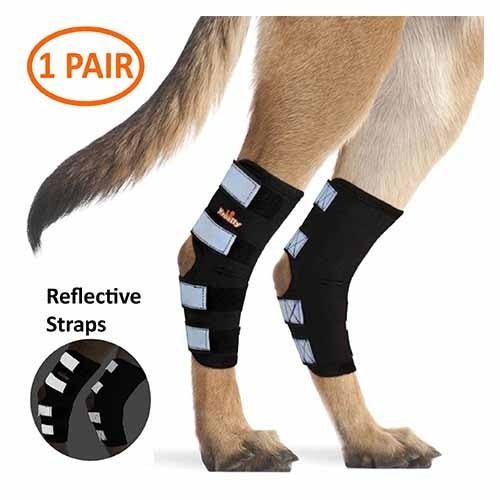 Rear Leg Brace with Safety Reflective Straps for Large Dogs