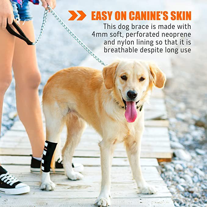 Rear Leg Brace with Safety Reflective Straps for Large Dogs