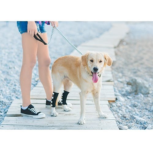 Rear Leg Brace with Safety Reflective Straps for Large Dogs