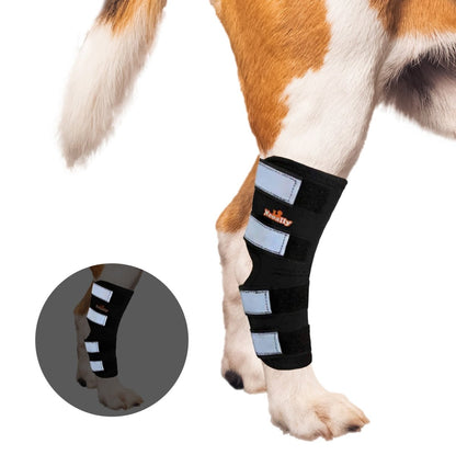 Rear Leg Brace with Safety Reflective Straps for Large Dogs