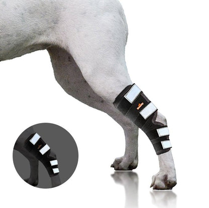 Rear Leg Brace with Safety Reflective Straps for Large Dogs