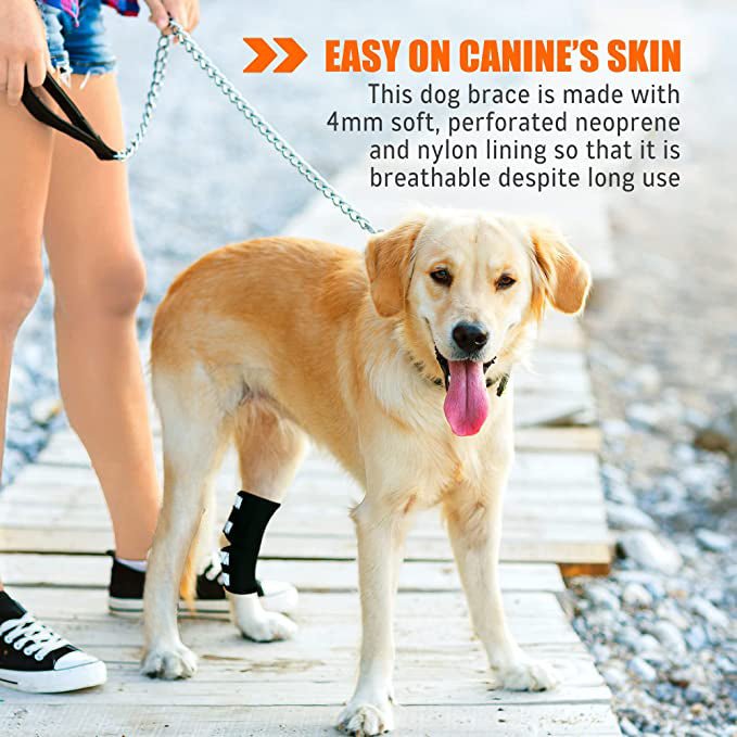 Rear Leg Brace with Safety Reflective Straps for Large Dogs