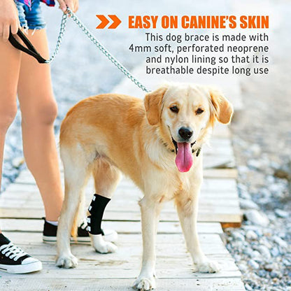 Rear Leg Brace with Safety Reflective Straps for Large Dogs