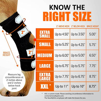 Rear Leg Brace with Safety Reflective Straps for Large Dogs