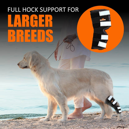 Rear Leg Brace with Safety Reflective Straps for Large Dogs