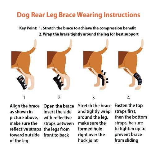 Rear Leg Brace with Safety Reflective Straps for Large Dogs