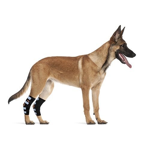 Rear Leg Brace with Safety Reflective Straps for Large Dogs