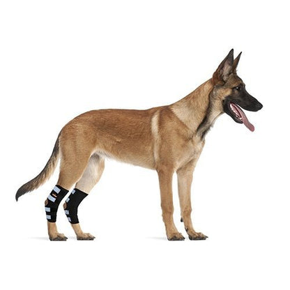 Rear Leg Brace with Safety Reflective Straps for Large Dogs