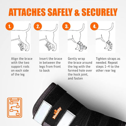 Rear Leg Brace with Safety Reflective Straps for Large Dogs