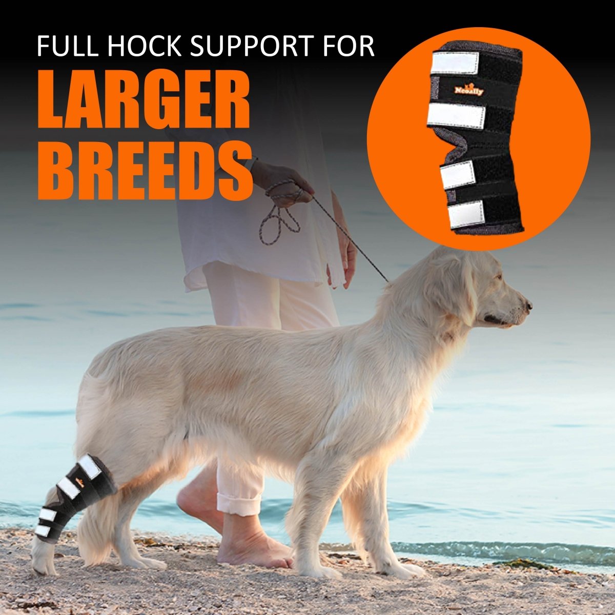Rear Leg Brace with Safety Reflective Straps for Large Dogs