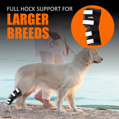 Rear Leg Brace with Safety Reflective Straps for Large Dogs
