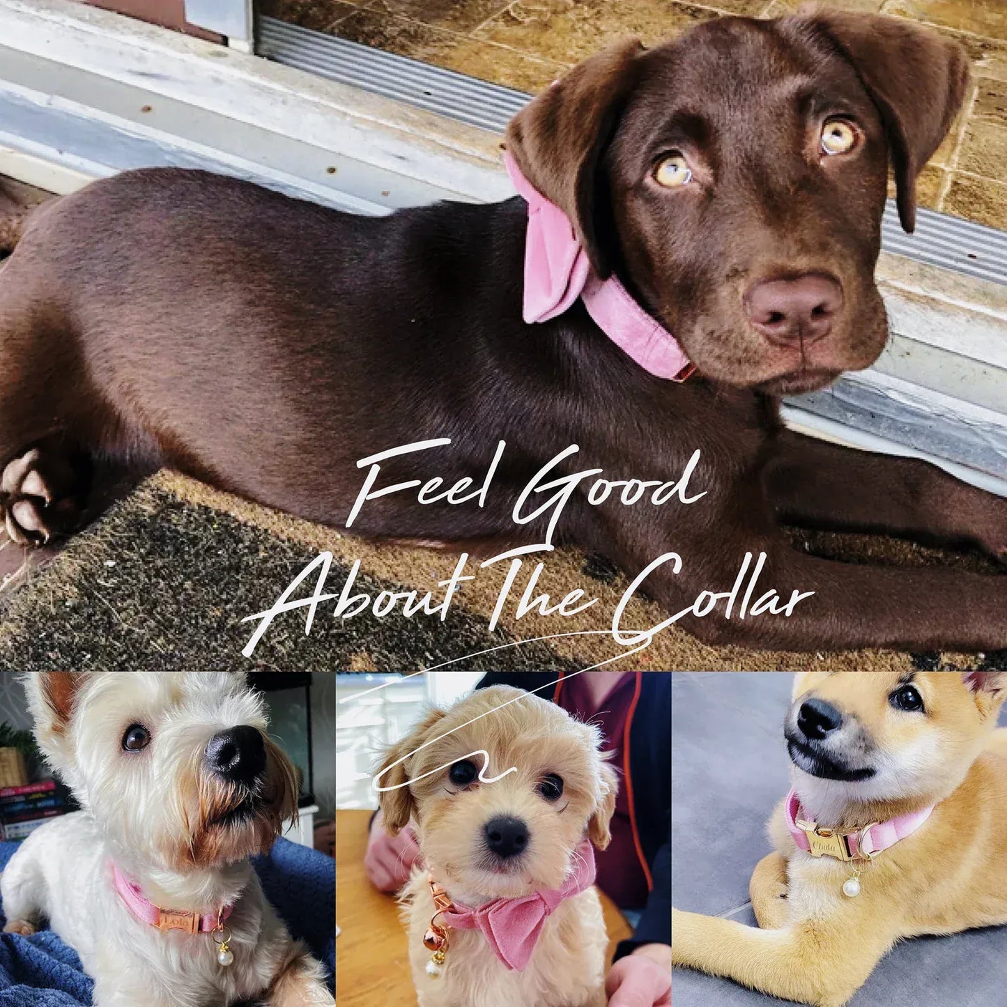 Pink Velvet Dog Harness Set